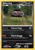 Spider Bug