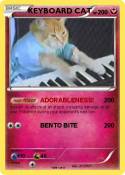 KEYBOARD CAT