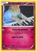 KEYBOARD CAT