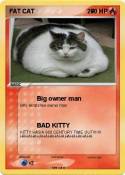 FAT CAT 7