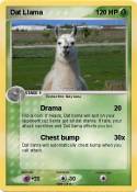 Dat Llama