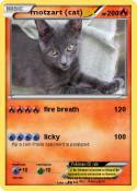 motzart (cat)