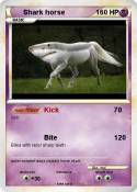 Shark horse