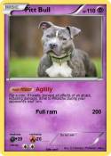 Pitt Bull