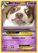 Mr. Bubz Mr. Bubz