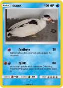 duuck