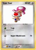 Team Toad Team Toad