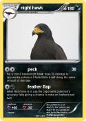 night hawk