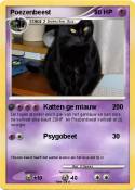 Poezenbeest