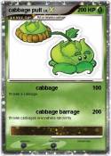 cabbage pult