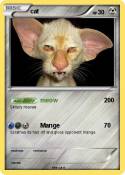 cat