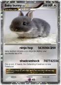 Baby bunny