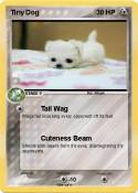 Tiny Dog