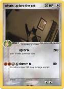 whats up bro