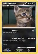 evil kitten