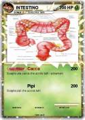 INTESTINO