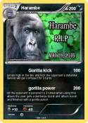 Harambe Harambe