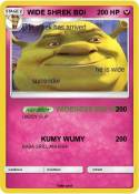 WIDE SHREK BOI