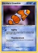 Oscellaris Clownfish Oscellaris