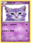 Purple Cat