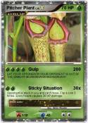 Pitcher Plant