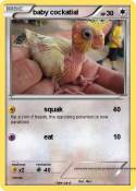 baby cockatial