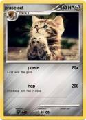 prase cat