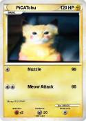PiCATchu