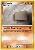 kork fossil