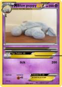 Blue puppy
