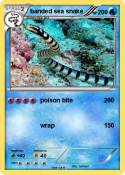 banded sea