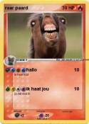 raar paard