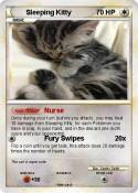 Sleeping Kitty