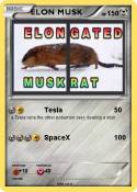 ELON MUSK