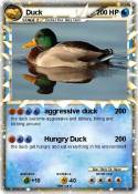 Duck