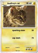 Geoffroy's cat