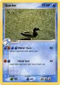 Quacker Quacker