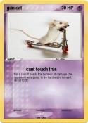 gun cat