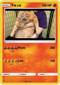 Fat cat