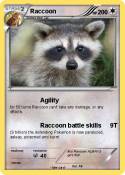 Raccoon