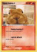funny bunny 2