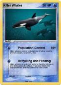 Killer Whales