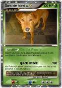 Garci de hond