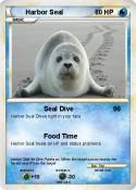 Harbor Seal