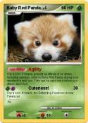 Baby Red Panda