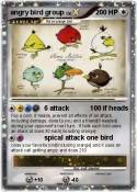 angry bird group angry bird