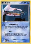 Brook trout Brook trout