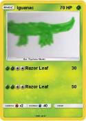 Iguanac