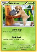 Animal love