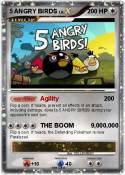 5 ANGRY BIRDS